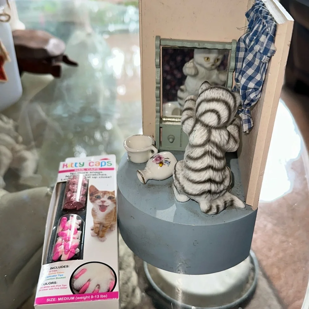 Two items for kitty home!